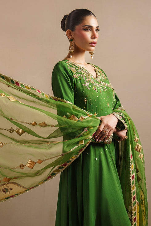 Model holding organza dupatta of KEZIA outfit showing embroidered pallu and applique borders