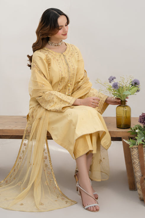 NAQSHI Payal net dupatta draped, exhibiting lengthwise embroidery and four-sided tilla-lace edging.