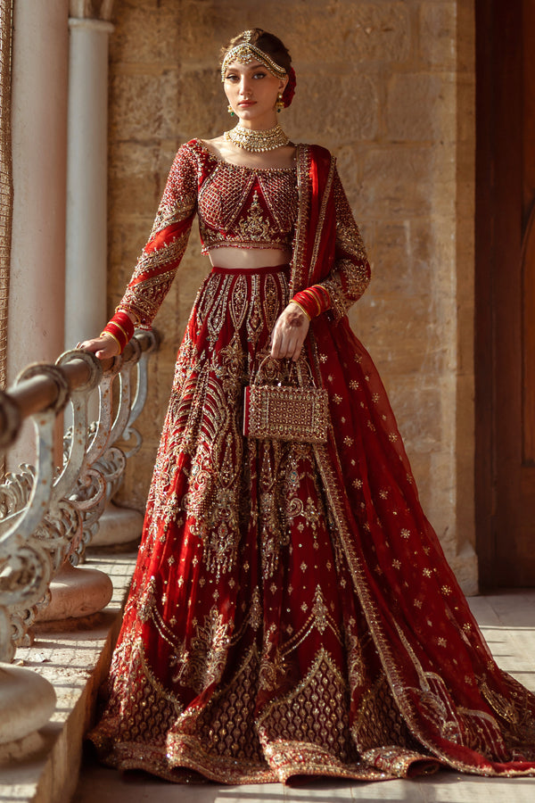 NAQSHI Firaaq organza dupatta draped to display petal-like triangular pallu, embellished applique work, crystalized finishings and fancy corner detailing.