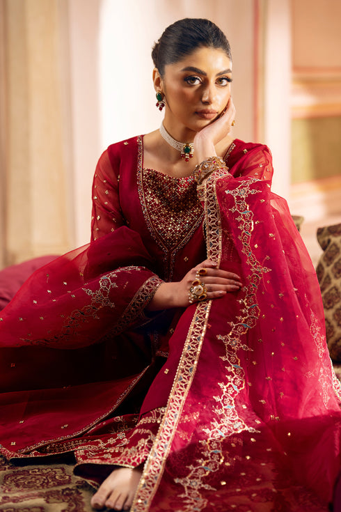 Organza dupatta draped over arm, showing embroidered sequin border.