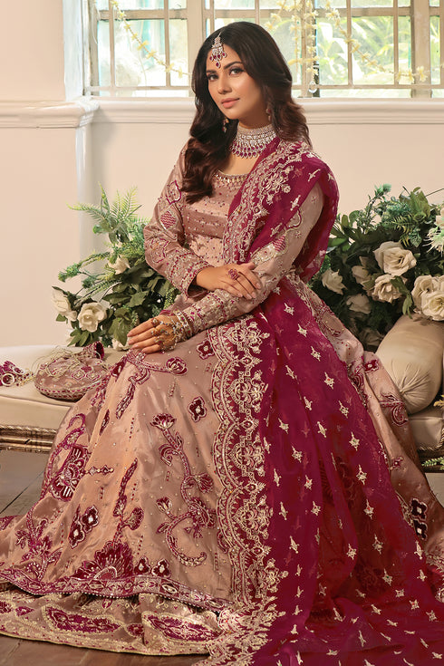 Organza dupatta draped to showcase scalloped embroidered border, sequin spread, and matching floral motifs.