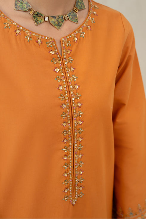 Close-up of Kajal round neckline adorned with light embroidery and detailed adda work.