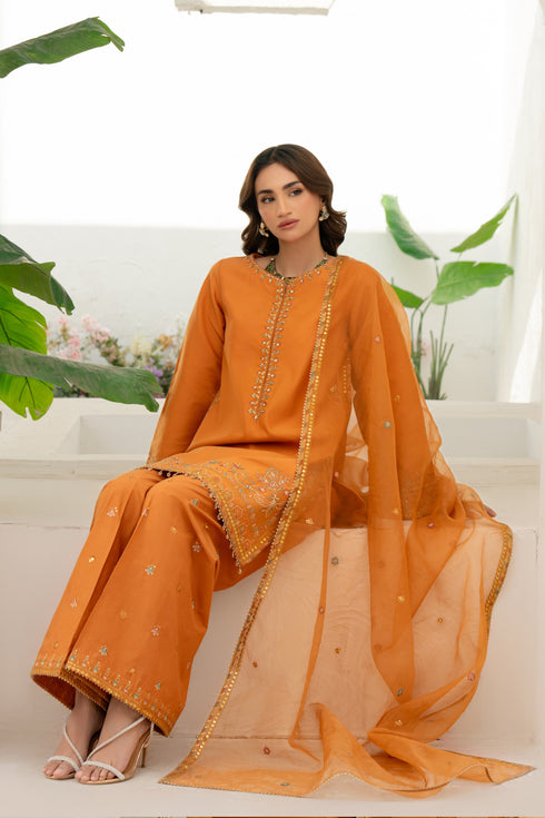 Organza dupatta from NAQSHI Kajal draped to show lengthwise embroidery and lace-edged border