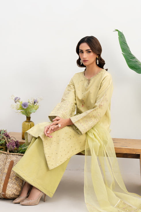 Close-up of NAQSHI Neha sleeve highlighting intricate embroidery and tilla-lace details