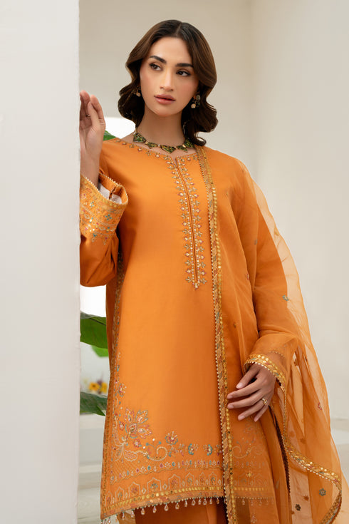 NAQSHI Kajal outfit showcasing continuous adda embroidery from hem to sleeve and side slit detail