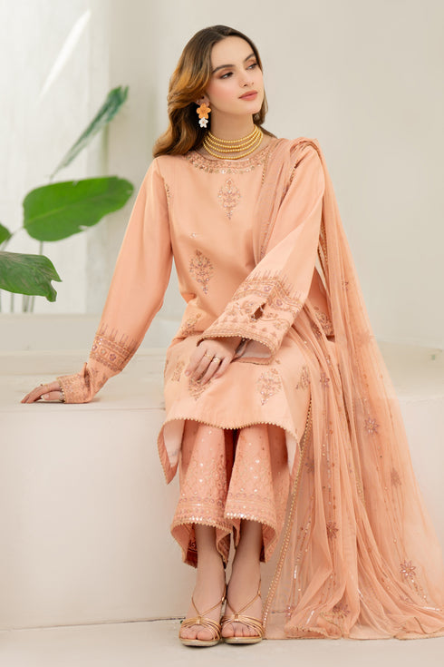 Side profile of NAQSHI Sanam outfit showing keyhole sleeve with crystal hanging and embroidered motif