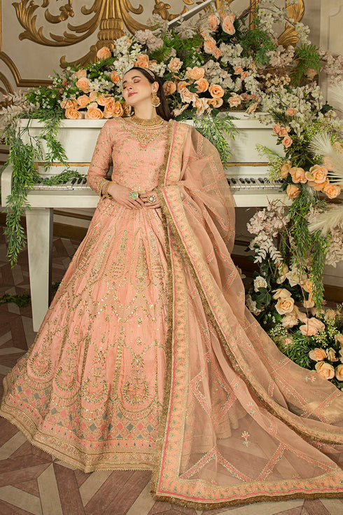 Naqshi Mah‑e‑Noor organza dupatta draped to display kiran-lace finished edges, extensive sitari embroidery, and coordinated motif spread.