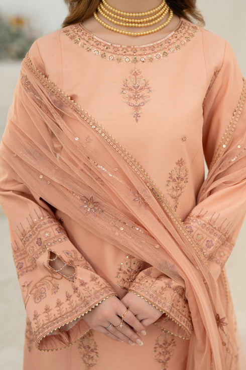 Peach net dupatta from NAQSHI Sanam draped to show cutwork edges and sequence embroidery