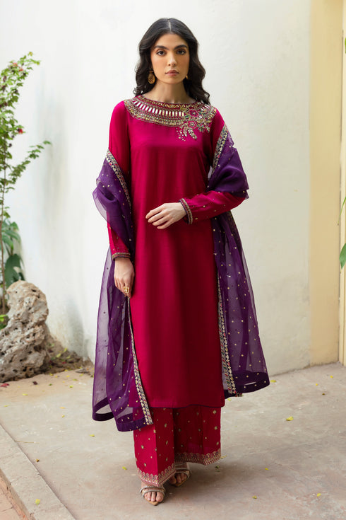 NAQSHI Raima culottes front shot showing heavy sequin and embroidered borders with delicate contrasting thread texture on raw silk.