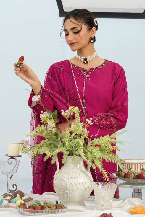 Close-up of NAQSHI Lashkara sleeve cuff highlighting detailed embroidery, tilla-lace border & tassel finishing