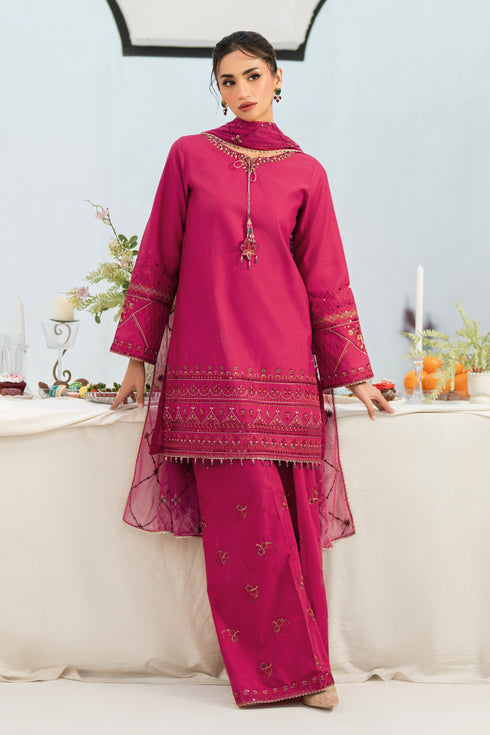 NAQSHI Lashkara outfit showing loose embroidered sleeve and short shirt cutline