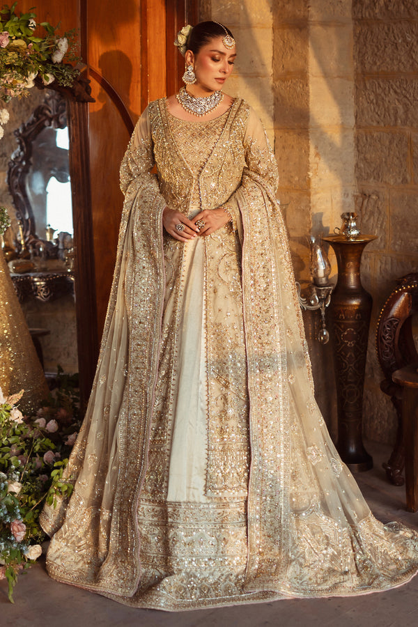 NAQSHI Roshan Ara tissue lehenga featuring plain voluminous texture with embroidered border and lace finishing.