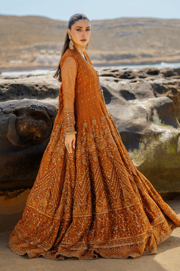NAQSHI Tianaa rust net angrakha frock front view showcasing heavily embroidered floral and geometric motifs, sequin accents, dome-shaped embroidered border, floor-length cutline.