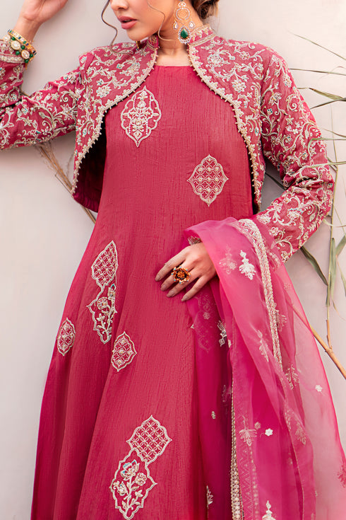 Naqshi Samar dupatta draped over ensemble showcasing border embroidery, sequin work, and soft organza flow.