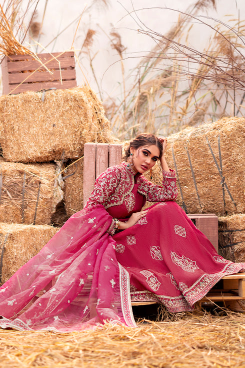 Rear view of Naqshi Samar open jacket highlighting spread floral-geometric embroidery and lace border.