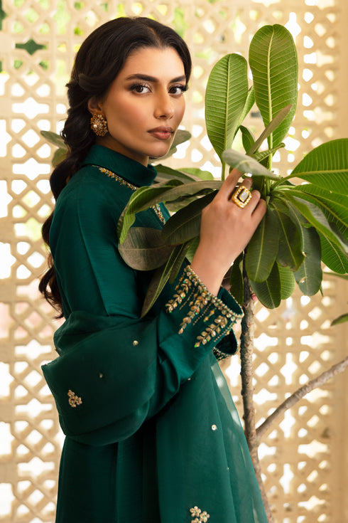 NAQSHI Zauq organza dupatta draped to display lengthwise pure hand‑adda embellishment spray and handmade tassels on all four sides.