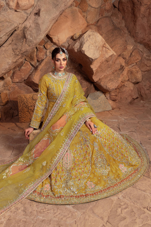Naqshi Adeen organza dupatta mid-section showcasing embroidered motifs, sequin work, and four‑sided border complementing frock tonality.