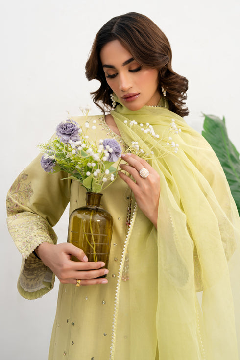 Organza dupatta from NAQSHI Neha set draped to show tilla-lace border and embroidered pallu
