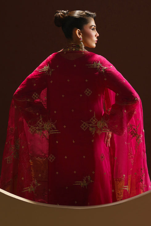 Back view of ZUHI pink festive outfit showing full dupatta spread with embroidered organza border