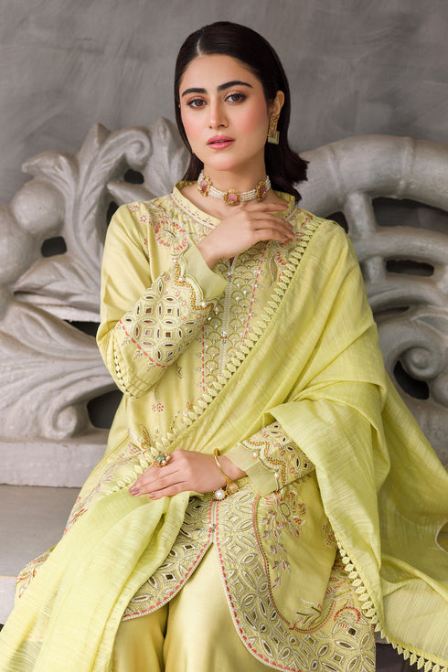 Front close view highlighting Sophie neckline embroidery, handmade buttons and panel work