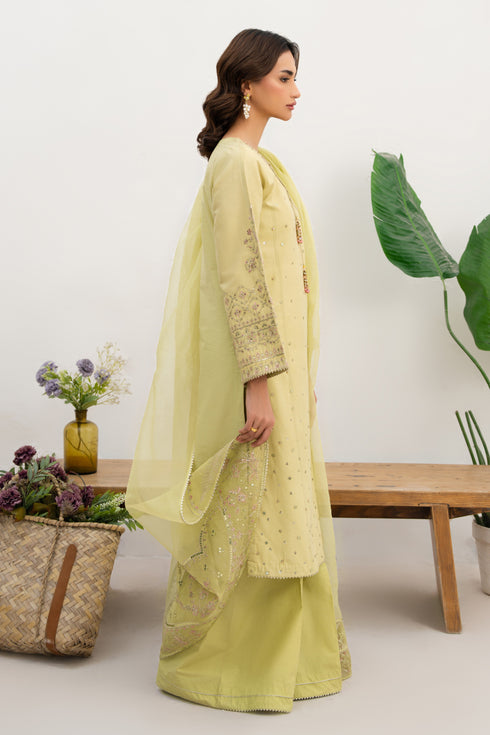 Side profile of NAQSHI Neha outfit showing loose sleeves with embroidered motif and lace cuff.