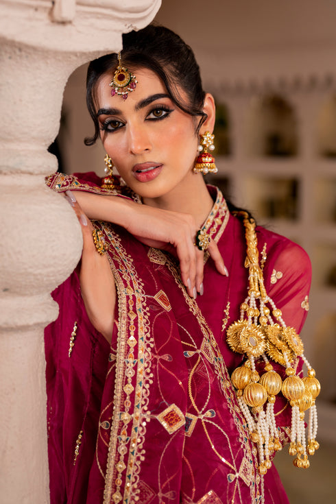 Naqshi Zaafia organza dupatta draped elegantly, showcasing four‑sided embroidered border with contrasting shades and all‑over sequin jaal.