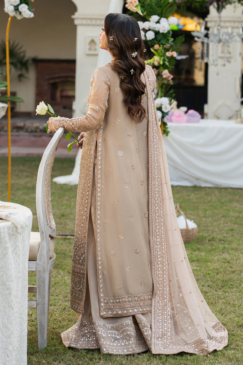 Back view of Ezaraa peach pink tissue gown with flowing lehenga and mirror work detailing, elegant formal wear for weddings