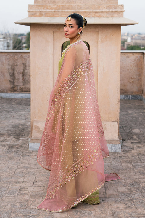 Back view of Zaraan pistachio organza semi formal outfit with tea pink embellished dupatta and flared trousers from NAQSHI festive collection