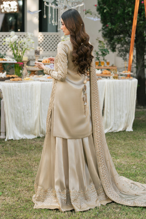 Back view of Orhaan dusty rose tissue outfit with wide flare sharara and net dupatta, graceful formal look