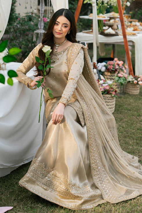 Side view of Orhaan dusty rose formal outfit showing flowing tissue sharara and light net dupatta.