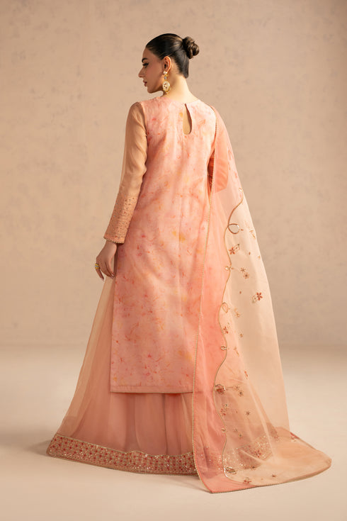 Back view of Aysun suit highlighting flowing organza dupatta and sharara flare, stitched semi formal eastern outfit for events.