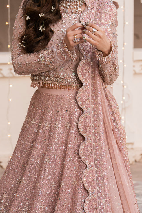 Pink embroidered traditional outfit with jewelry against a blurred background.