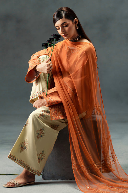 Mira by NAQSHI angled view – showing embroidered borders and contrast sequin detail