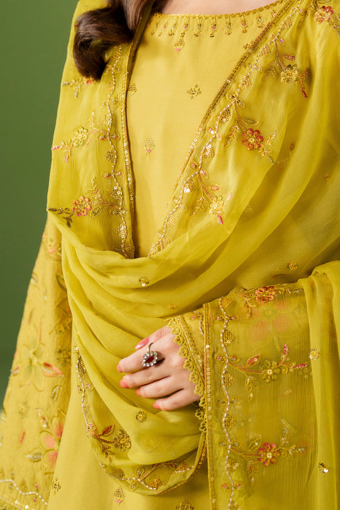 Close-up of NAQSHI Isha outfit showing sleeve embroidery and crinkle dupatta border detail