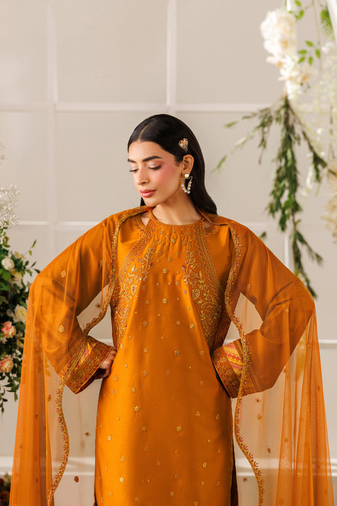 Front close-up view of NAQSHI Mohib outfit highlighting round neckline, soft embroidery, and balanced casual fit