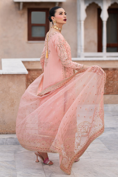 NAQSHI Gul-e-Rehaab full outfit – peach raw silk shirt with matching culottes and organza dupatta styled elegantly