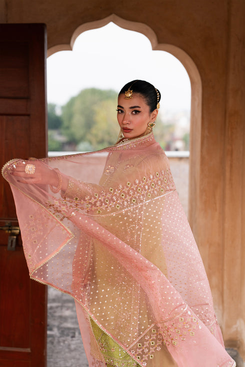 Tea pink organza dupatta with delicate embellishment and zari border paired with Zaraan pistachio festive outfit