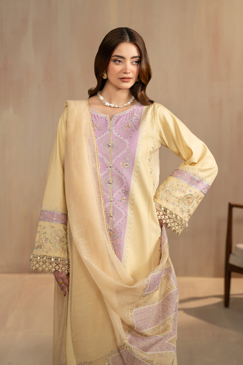Front styling portrait showing boat neckline embroidery and detailed sleeve borders of Nijah beige embroidered lawn dress.