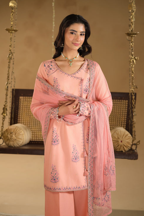 Back drape view of Umaiza pink 3 piece dress showing light net dupatta with border detailing