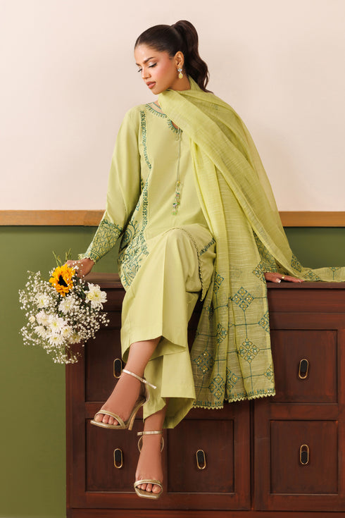 Side back angle of NAQSHI light green ready-to-wear outfit showing embroidered dupatta borders and relaxed casual styling