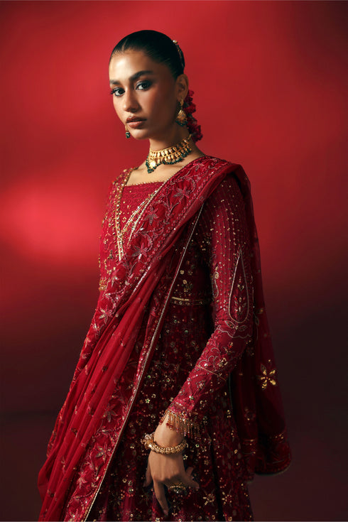 Woman in a red embroidered traditional outfit with jewelry against a red background