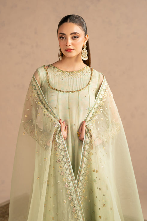 Close portrait focusing on neckline adda work, sleeve borders and fine motif embroidery on pistachio fabric.