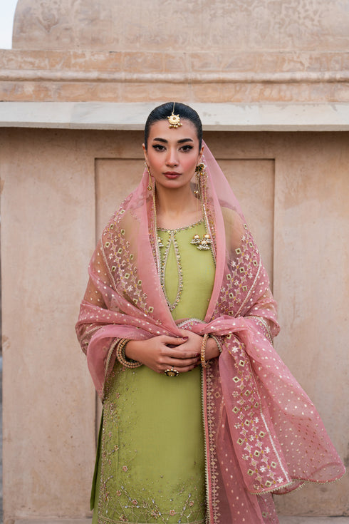 Front portrait of Zaraan pistachio organza semi formal dress with embroidered shirt, flared trousers and tea pink dupatta