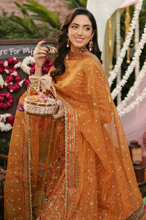 NAQSHI Romanvi organza dupatta draped to display embroidered pallu border, contrasting organza applique and mini motif spray detailing