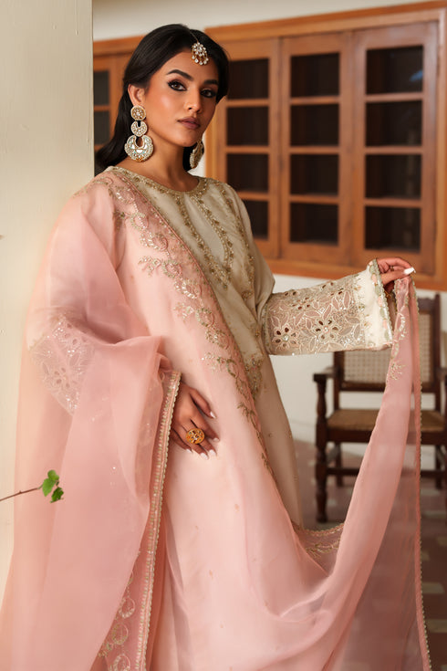 Pink organza dupatta from NAQSHI Annie draped elegantly with length-wise embroidery.