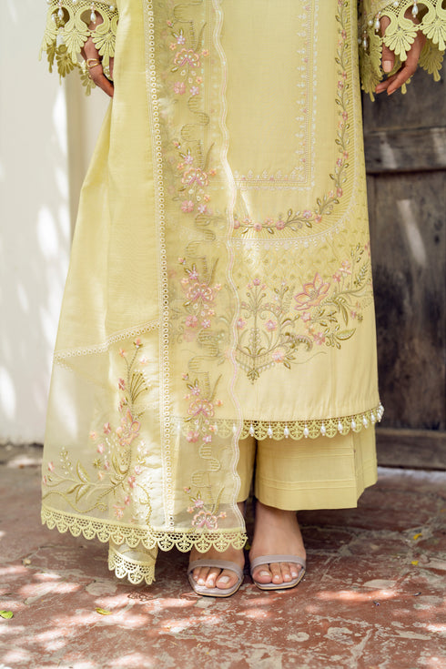 NAQSHI Gulshan premium cotton organza dupatta draped, showcasing lengthwise embroidered borders and organza borders attached with delicate lace