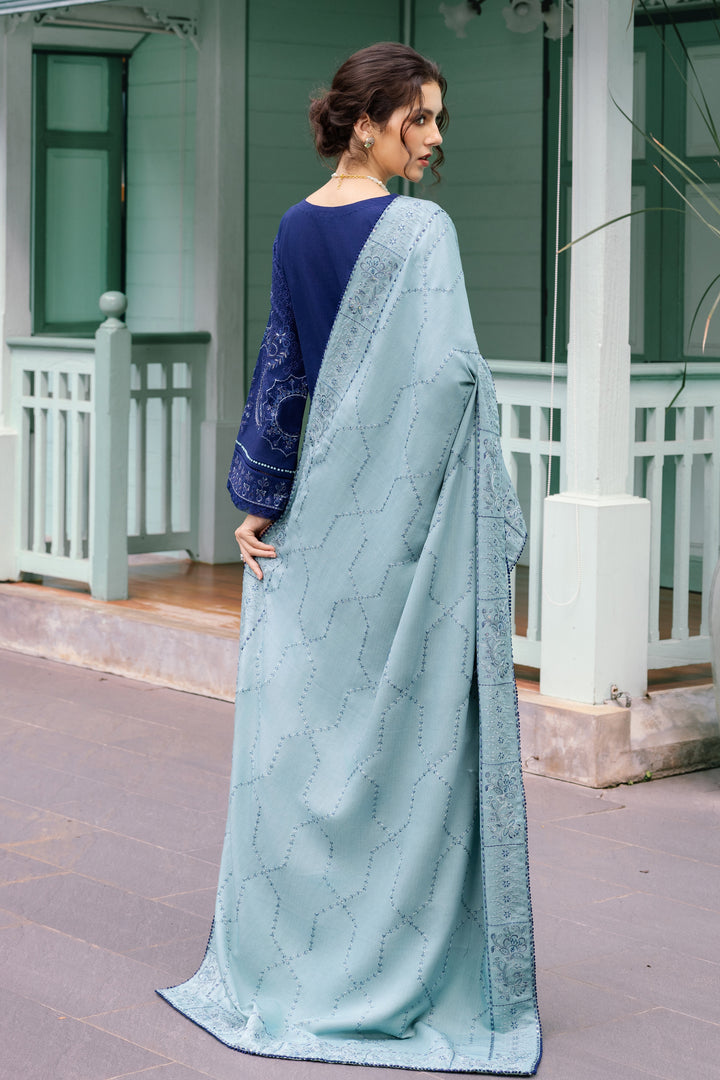 Woman wearing a light blue saree with a dark blue blouse in front of a building.