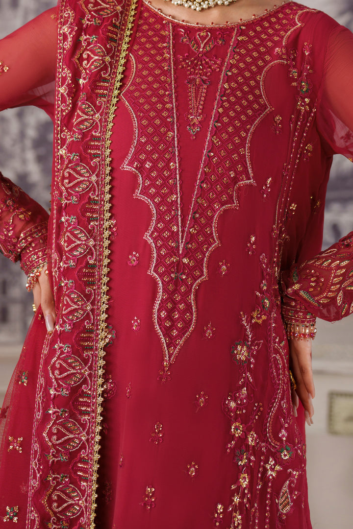 Nain Tara full-length shirt with embellished borders and hangings