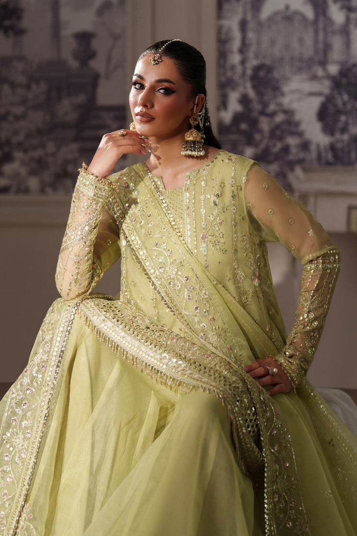 Nibaat by NAQSHI angled view showcasing broad neckline, center panel embroidery, and shimmering sequin spray