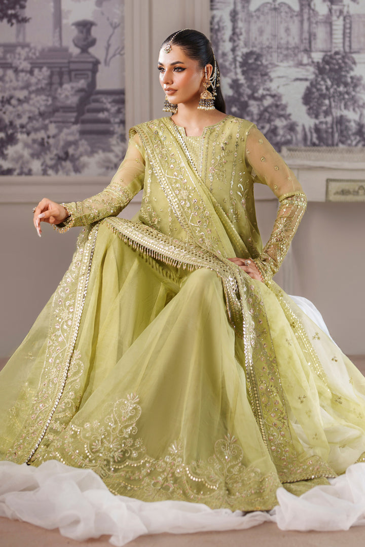 Nibaat by NAQSHI organza dupatta drape with bordered four sides, sequin spray, and refined net edging